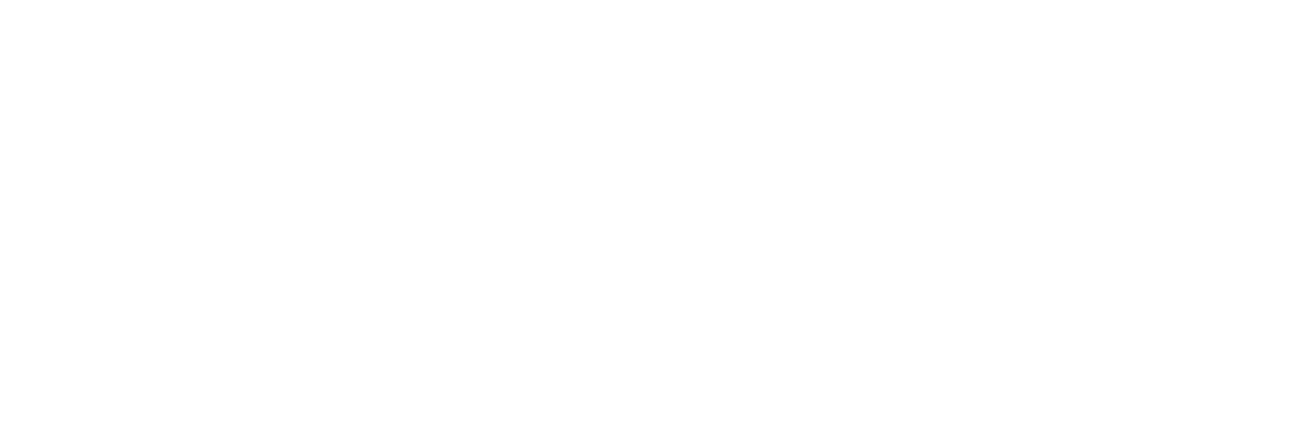 Black Beauty by Jess